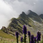 Aussicht von der Magernikspitze