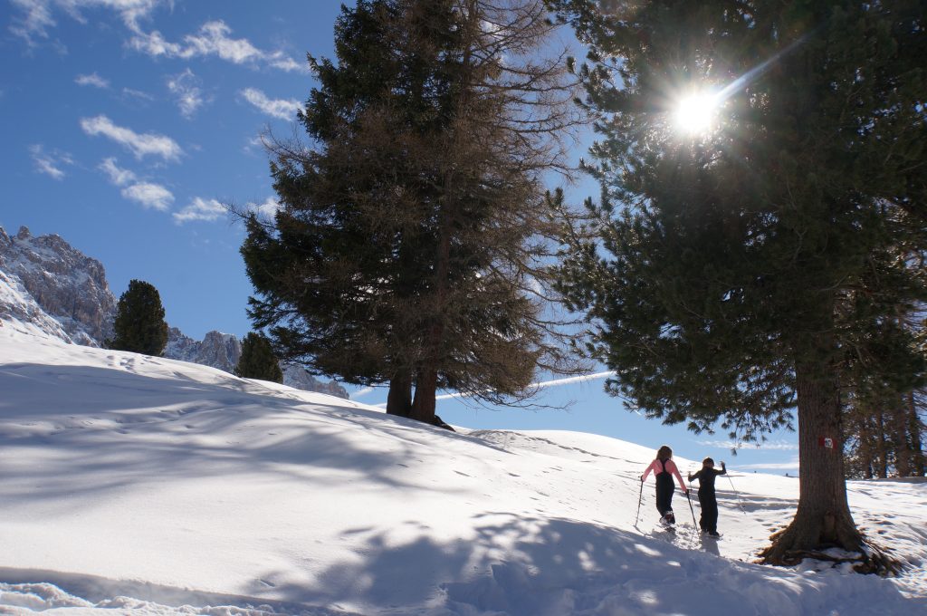 Schneeschuhwandern mit Kindern Rosengarten