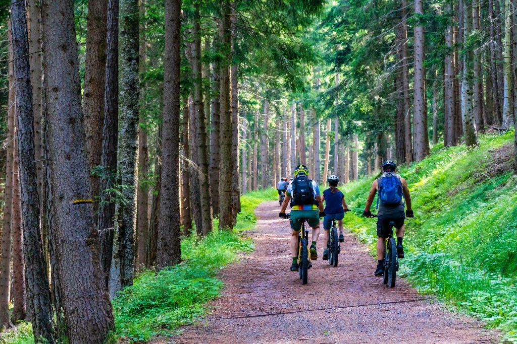 E-Bikes für Kinder